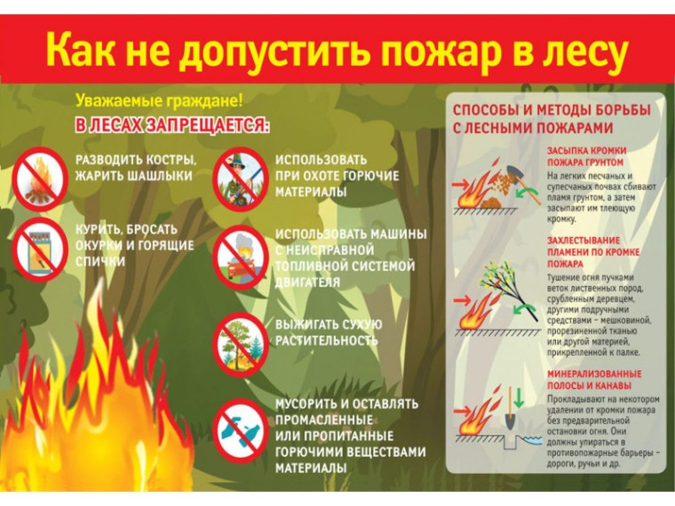 Пожар в лесу. Пожар в лесу.